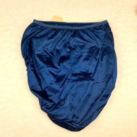 Warners Panties Size 8 Navy Blue High Cut Shiny Satin Sissy Brief Panty Vtg NWT