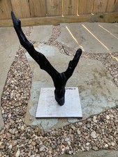 Natural Driftwood For Aquarium/Terrarium/Arts, And Crafts