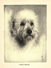 1935 Antique Dandie Dinmont Terrier Print Malcolm Nicholson Illustration 5020n