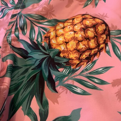 SURF SOCIETY Swimwear Men's Drawstring Lined XL Pineapples Pink