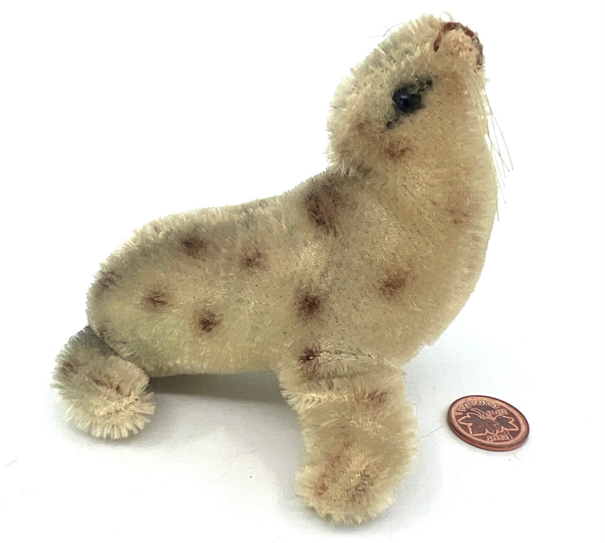 Hermann ホッキョクグマ ぬいぐるみ Hermann Germany Seal 1960s Sealion Mohair Plush 9cm 3.5in no ID