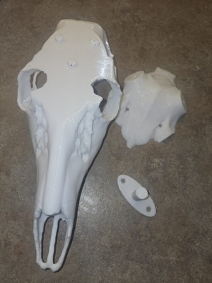 #ad #ad Deer European Mount Split Cap Style with Wall Mount White Petg shiny finish $19.99