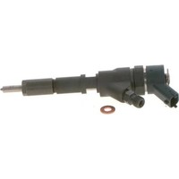 Bosch 0 445 110 076 EinspritzdüSe FüR Peugeot Citroen Fiat DüSenstock