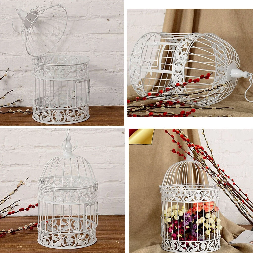 Share 153+ cheap decorative bird cages latest seven.edu.vn
