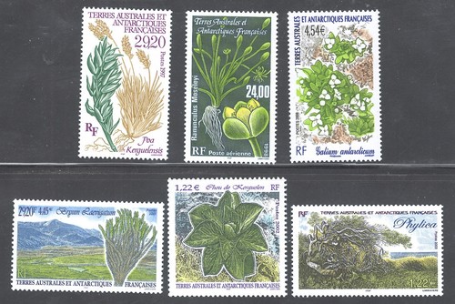 FSAT TAAF French Territory, MNH plants flora sets 1997/2008 flowers - 第 1/2 張圖片