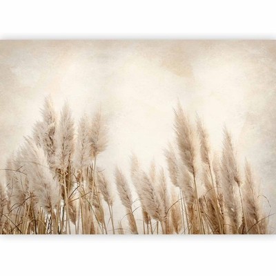 PAMPASGRAS NATUR Vlies Fototapete Tapete Wandtapete Wandmotiv Wanddekor xxl