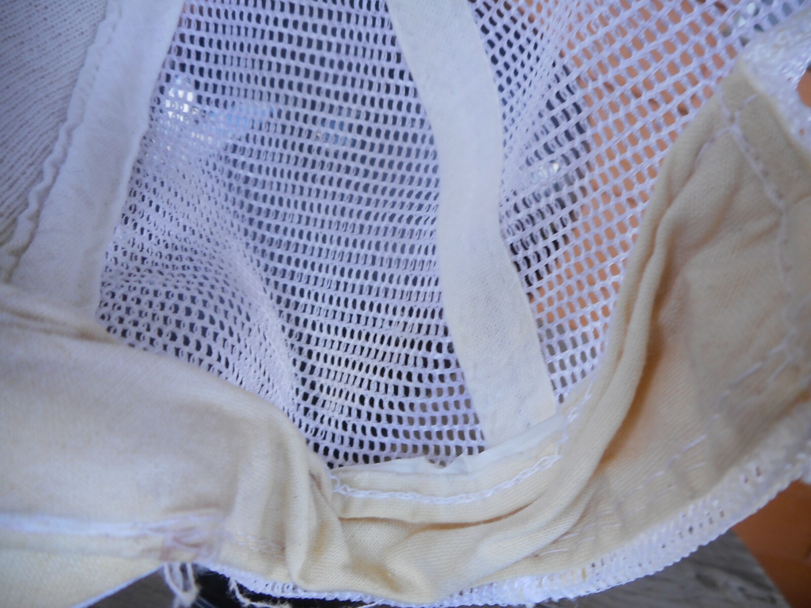 Picture 11 of 12