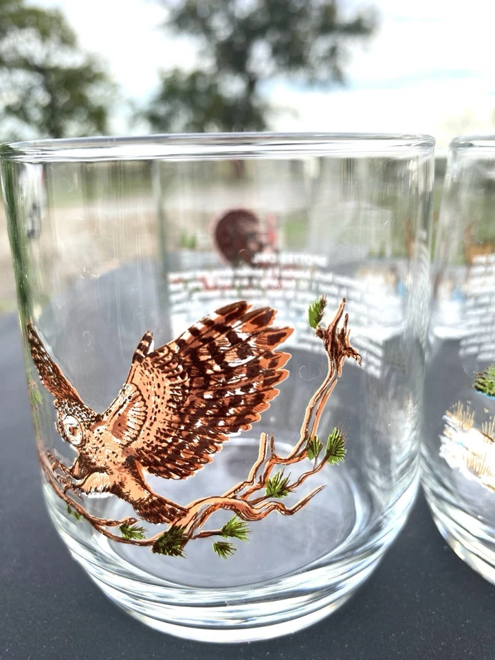 VINTAGE LIBBEY SUNOCO AMERICAN WILDLIFE 90’s ROCK BARWARE ~ Set of  4 ~ - Image 3 of 4