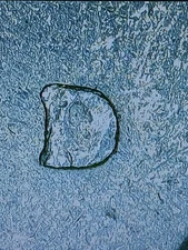 WASHINGTON QUARTER 1988 D RPM D/D,DDO,DDR (004)