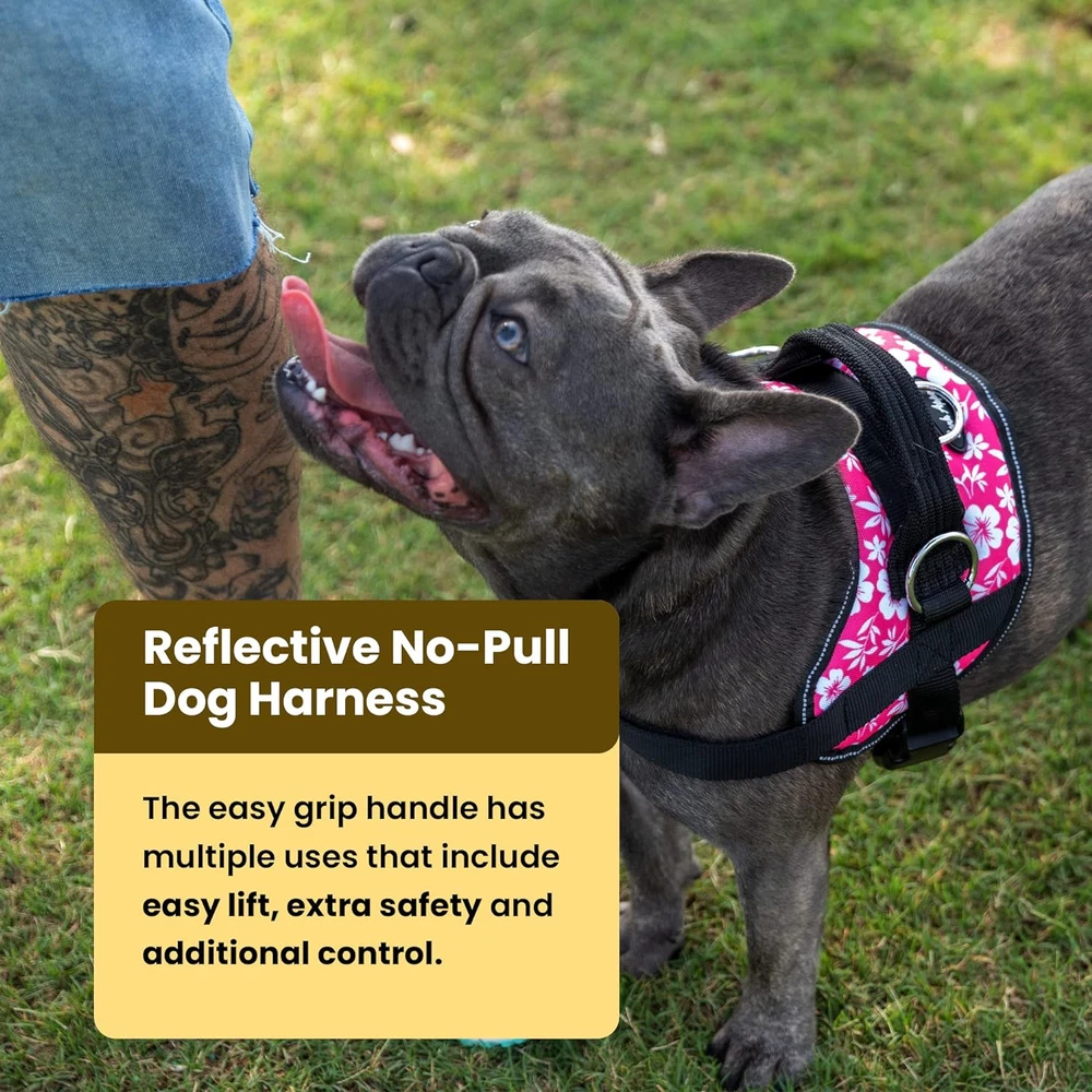 Dog Harness, No-Pull Pet Harness, Adjustable & Reflective, Soft-Padded No-Choke