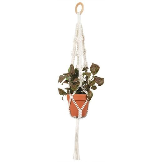 Solid Oak Macramè Plant Hanger Kit - 4 Picots MWH021