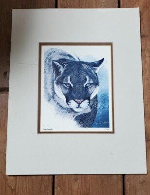 Wildlife Print by Canadian Artist Randy Fehr Matted ''Lone Prowler'' COUGAR 1983