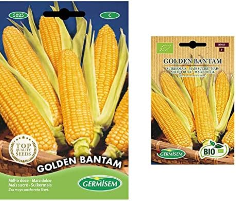Golden Bantam Semi di Mais Dolce 10 g