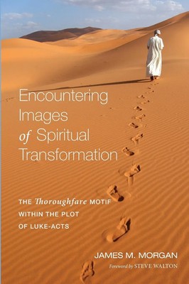 James M. Morgan | Encountering Images of Spiritual Transformation | Taschenbuch