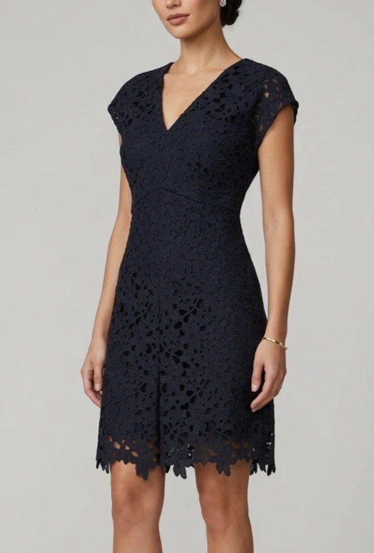 Robe Banana Republic Taille 14 - Doublée Avec Superposition En Dentelle - NWT - Super Mignonne