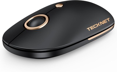 TECKNET Computer Mouse, 2.4Ghz Silent USB-A Wireless 4800 Black Gold 