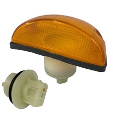 Ampoule Daf 55