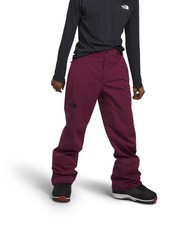 The North Face Freedom Stretch Mens Snowboard Pants Boysenberry
