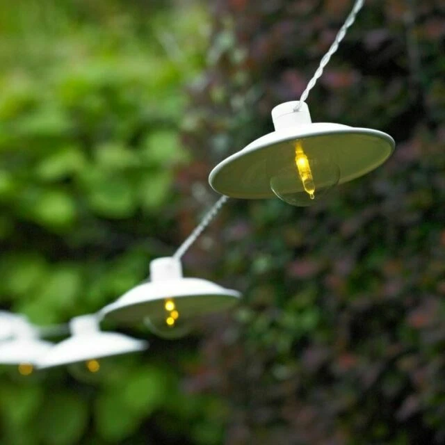 Battery Novelty Indoor Fairy Lights