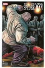 The Amazing Spider-Man #16 - Lee Bermejo Amazing Visions Variant 🟦🟥➡️ NM
