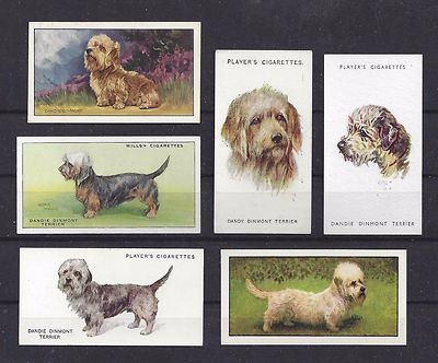 1929 - 1960 UK Dog Art Cigarette Card Collection x 6 DANDIE DINMONT TERRIER