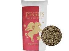 Pegus Pferdefutter Power Extra 25kg Sportpferde haferfrei & energiereich Pellets