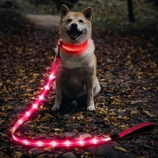 LED Dog Leash, USB Rechargeable Light Up Glow in Dark Nylon Night Walking Pink