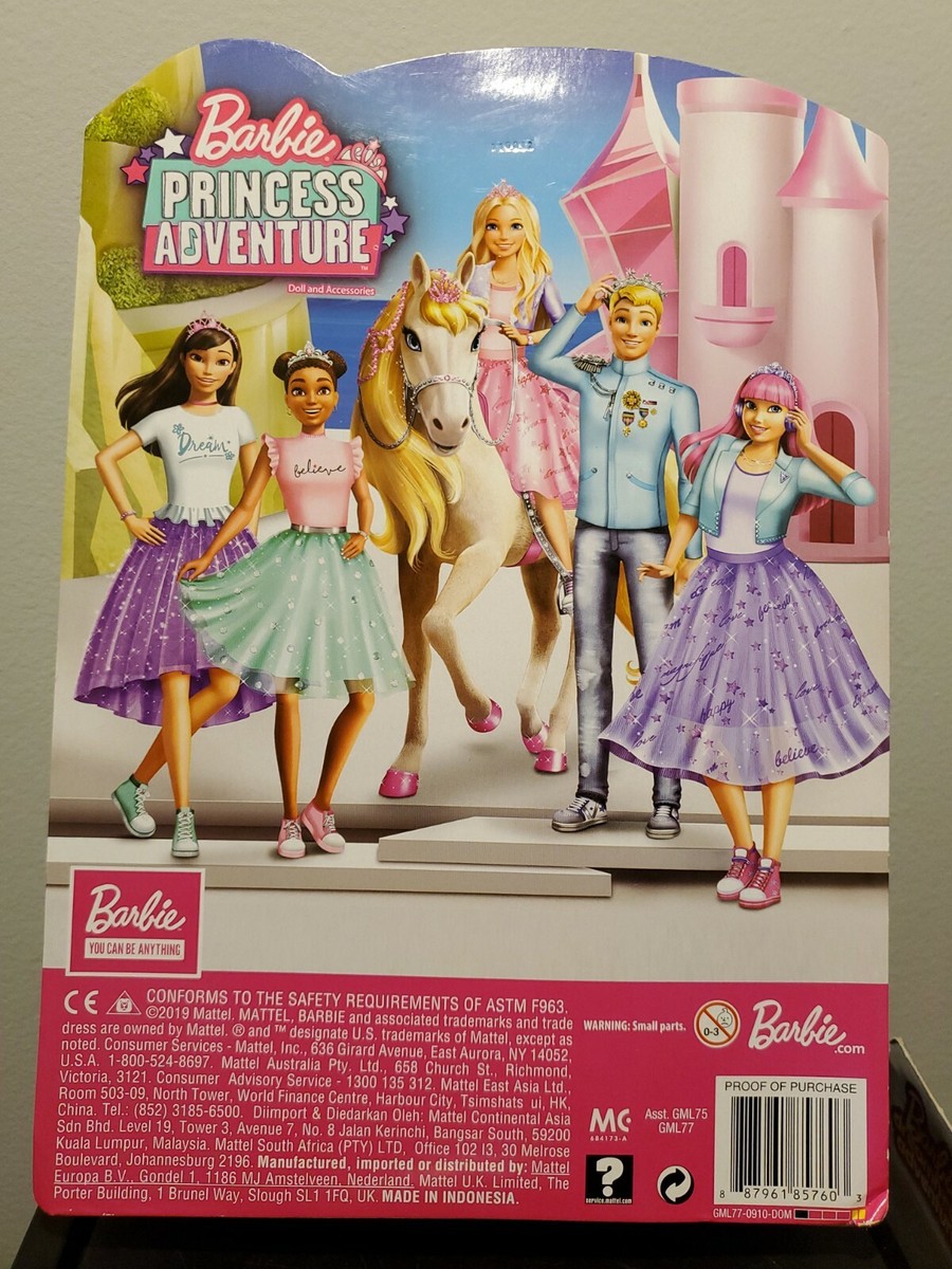 Dvd New Barbie Movies 2020 Barbie Princess Adventure 2020 Movie