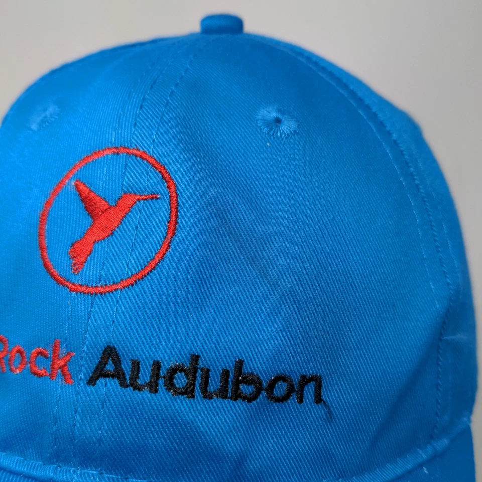 Sombrero Red Rock Audubon Strapback Azul Talla Única Bordado Port & Company Foto 4 de 4