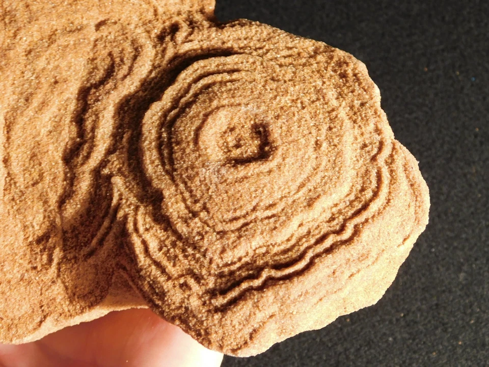 ¡GRANDE! Fósil ESTROMATOLITO de 600 millones de años 100% natural Marruecos 1383gr Foto 2 de 4