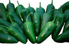 Megatron Hybrid Treated Jalapeno Pepper: 10 Seeds GIANT PEPPER, Free Shipping 