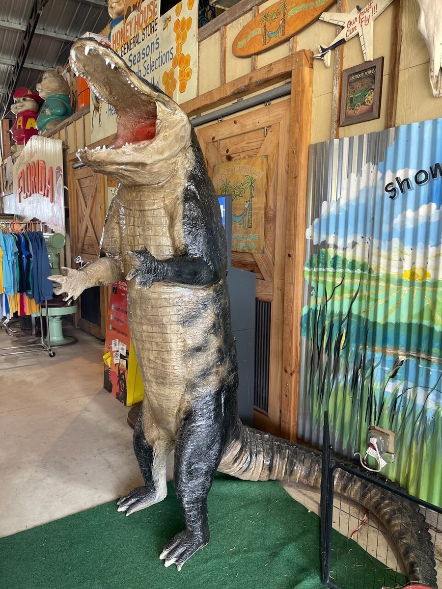 Gator Replica 12 FT Standing Mount Call 352-457-9030 | eBay