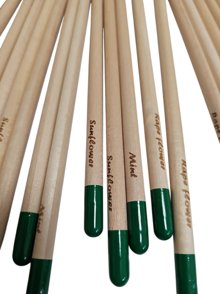 Set 60 Matite Piantabili con Semi e Nome Seme Inciso - Eco Gadget Sostenibile - Immagine 3 di 4