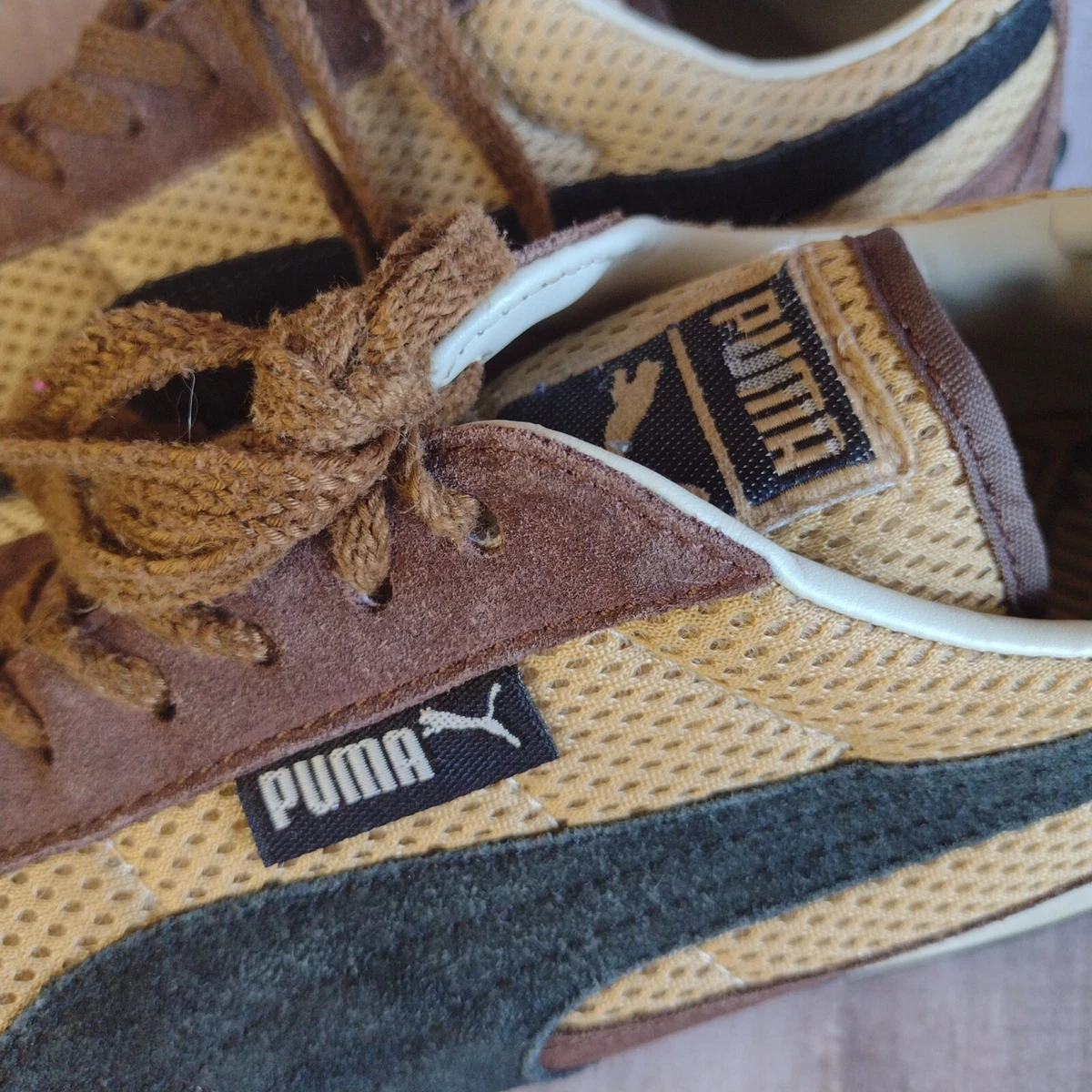 Puma anjan 2025