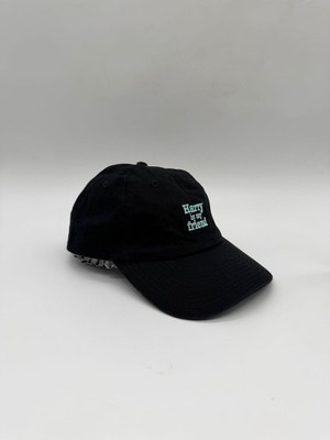 Harry Styles Harry Is My Friend Baseball Cap Hat HSLOT Love On Tour