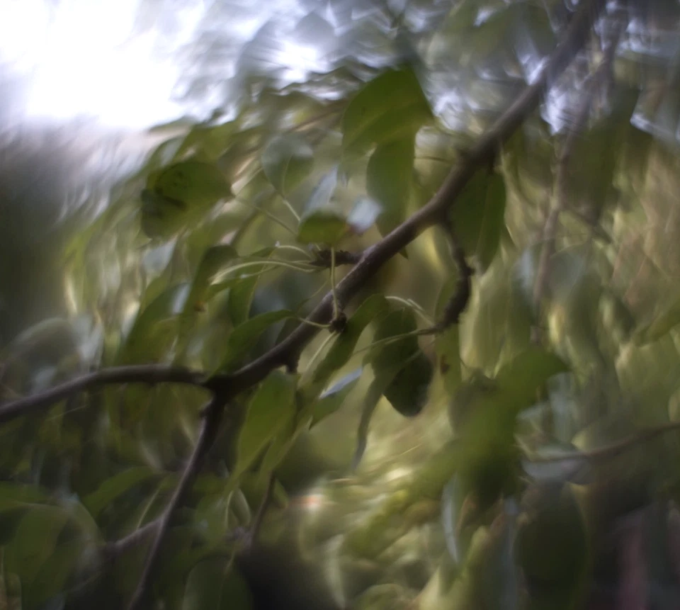 KMZ Helios 44M 58mm F/2 Petzval Modification Dreamy Swirly Bokeh M42 lens - Image 3 of 4