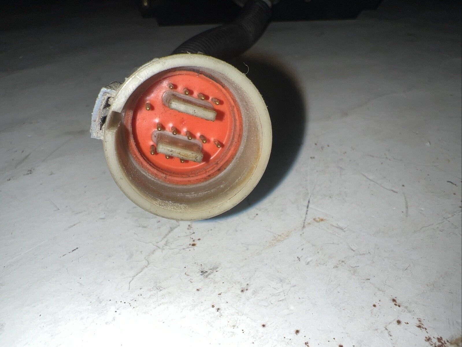 Foto 5 di 11
