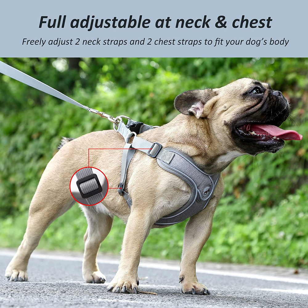 Dog Harness Set, No Pull Adjustable Step-in Collar for Dogs (M, Gray) Dog Harness Set, No Pull Adjustable Step-in Collar for Dogs (M, Gray)