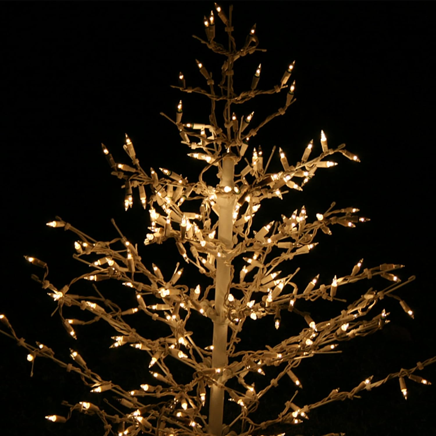 Picture 7 of 8