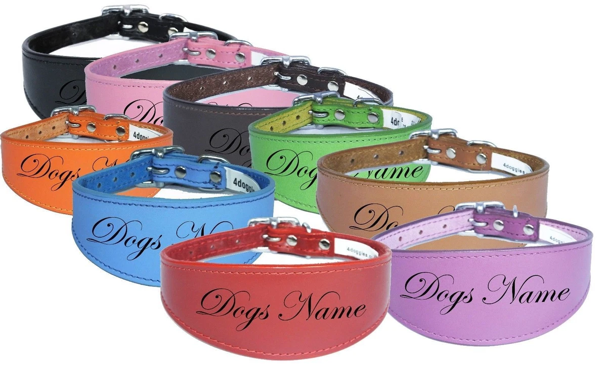 Personalized Greyhound Whippet Collar Leather Dog Collar Padded Backing  NAME | eBay