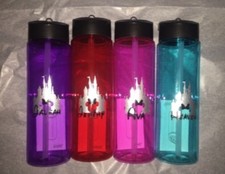 Disney Cruise Line or Disney world Or Disneyland Customized Water bottles