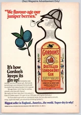 Gordons London Dry Distilled Juniper Smooth Flavor Vintage 1972 Advertisement