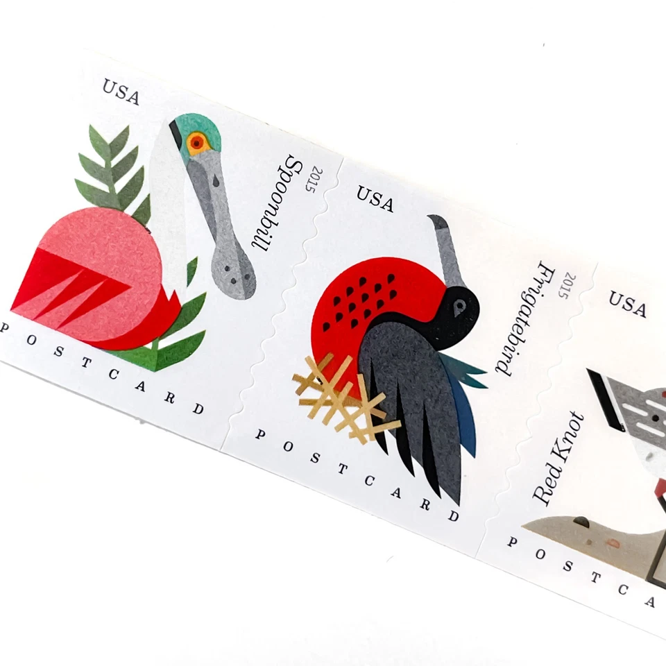 US # 4995-98 COASTAL BIRDS (2015) - Postcard Stamps Coil Strip of 4 in Sequence - Image 3 of 4