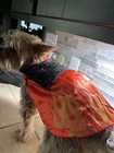 Foto 2 di 6