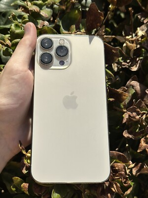 Apple iPhone 13 Pro Max - 256GB - Gold (Unlocked) A2484 (CDMA +