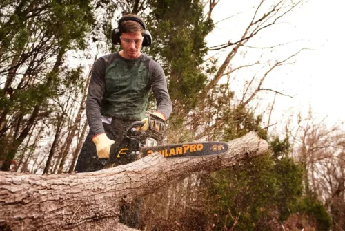 Poulan Pro DELUXE PP4218A 42-cc 2-cycle 18-in Gas Chainsaw THE STORM SAW FREE SH