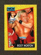 1991 Impel WCW Wrestling Trading Card #102 – Ricky Morton