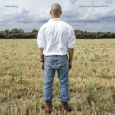 DREAM LIKE A DOGWOOD WILD BOY