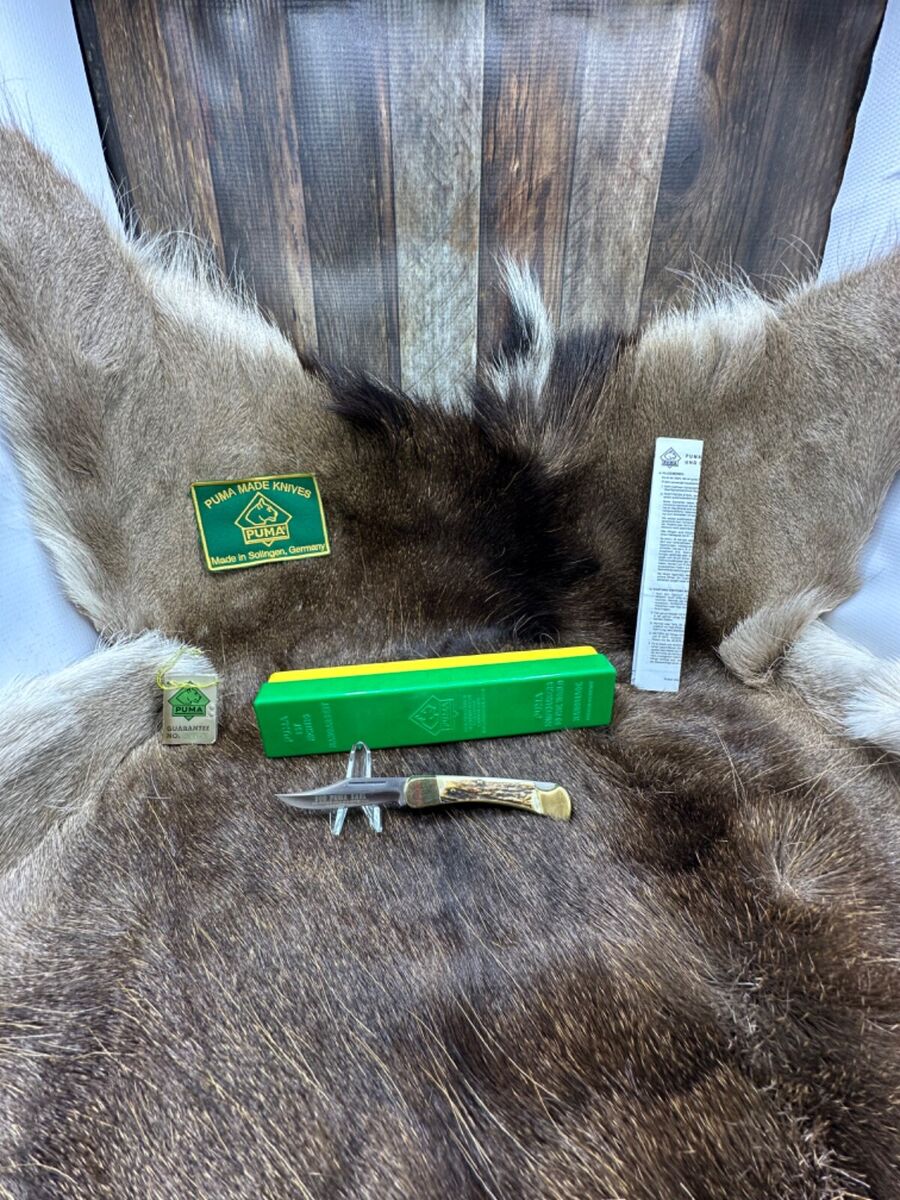 1979 Puma 900 Earl Knife With Stag Handles In Green/ Yellow 1979 Puma 900 Earl Knife With Stag Handles In Green/ Yellow