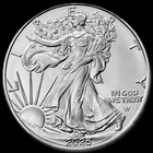 2025  AMERICAN SILVER EAGLE  1  OZ.  PURE FINE SILVER  999 BULLION COIN / BU-UNC